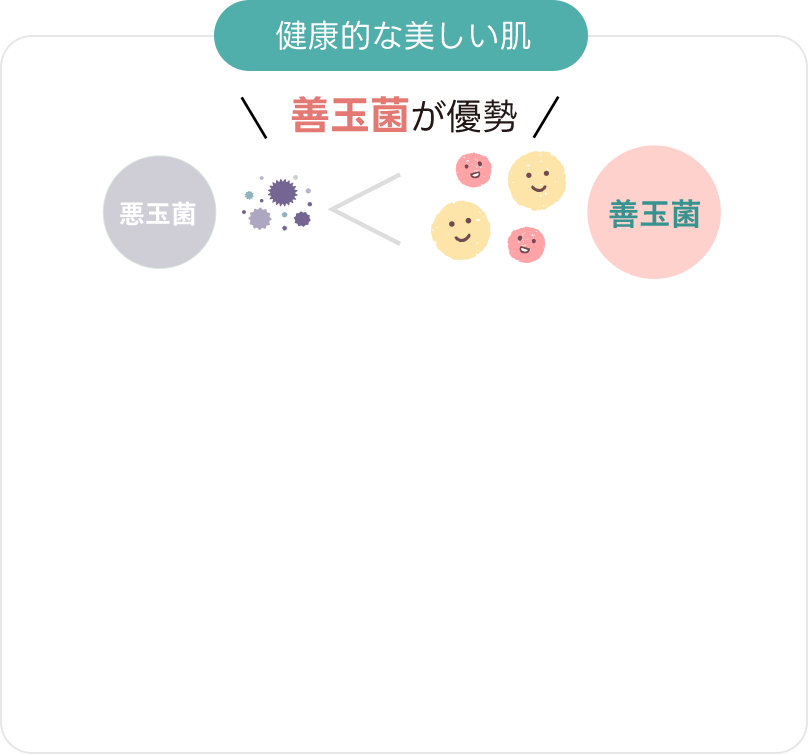 健康的な美しい肌は善玉菌が郵政