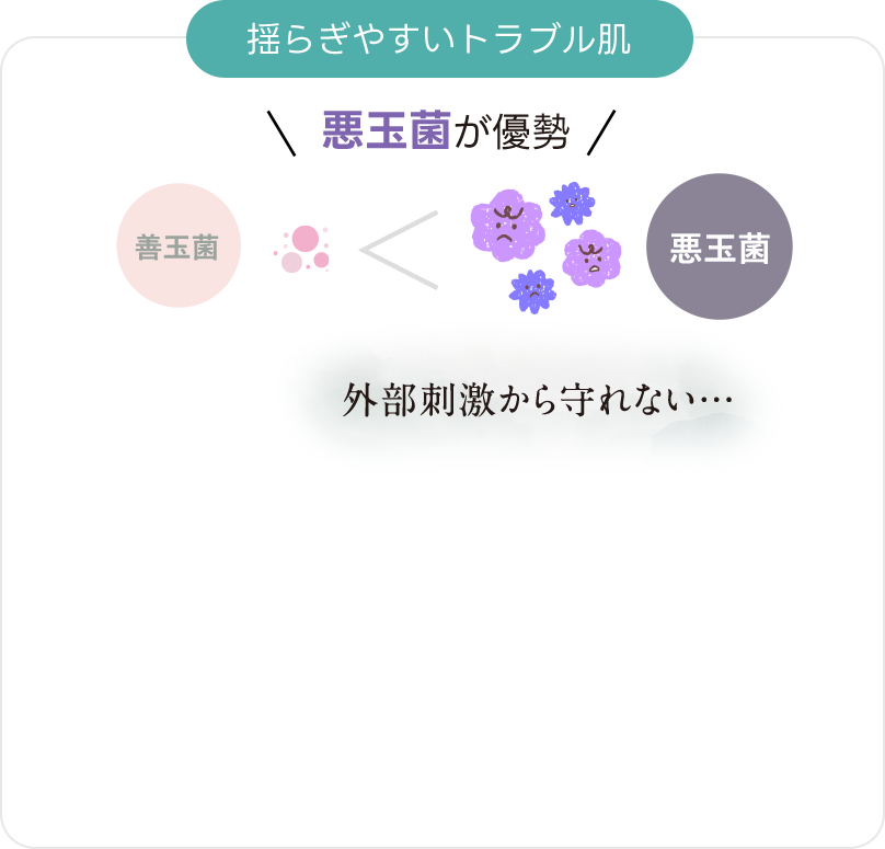 揺らぎやすいトラブル肌は悪玉菌が優勢